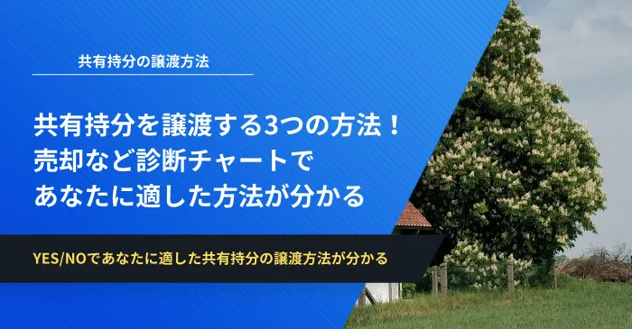 共有持分を譲渡する3つの方法！売却など診断チャートであなたに適した方法が分かる