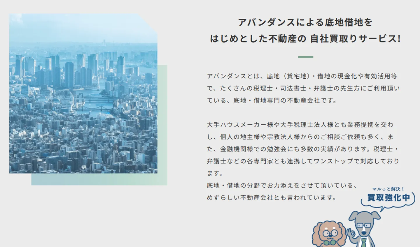 アバンダンス